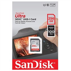Sandisk Ultra Lite 256GB 100m-s SD