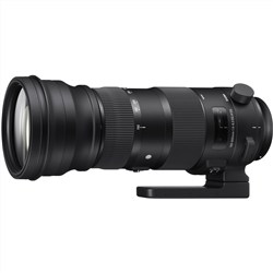 Sigma 500mm f/4 DG OS HSM Sports Lens Nikon Mount